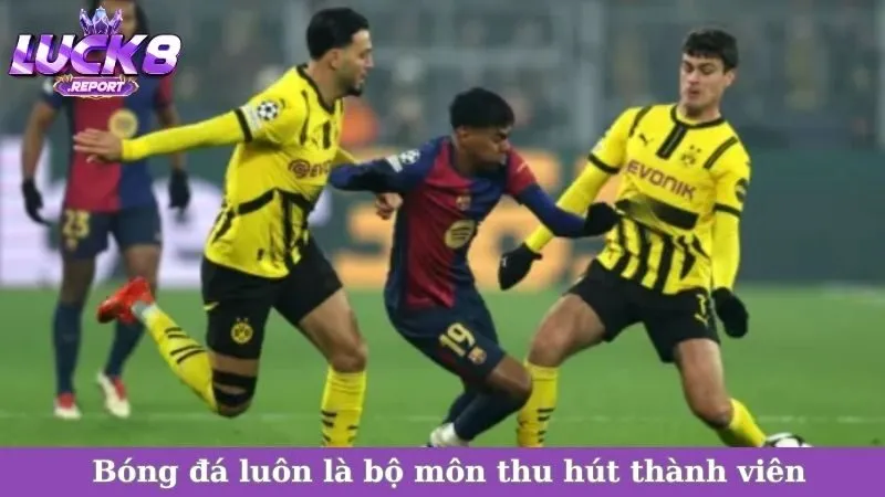 Bóng đá luôn là bộ môn thu hút thành viên