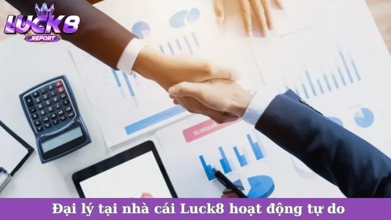 Đại lý tại nhà cái Luck8 hoạt động tự do