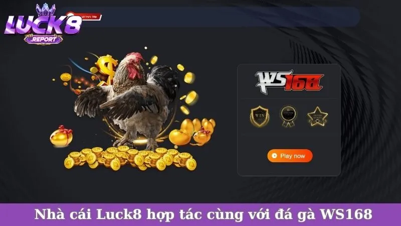 Nhà cái Luck8 hợp tác cùng với đá gà WS168